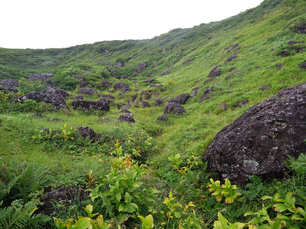 f:id:Kakuremino:20250919231926j:image f:id:Kakuremino:20250919231926j:image