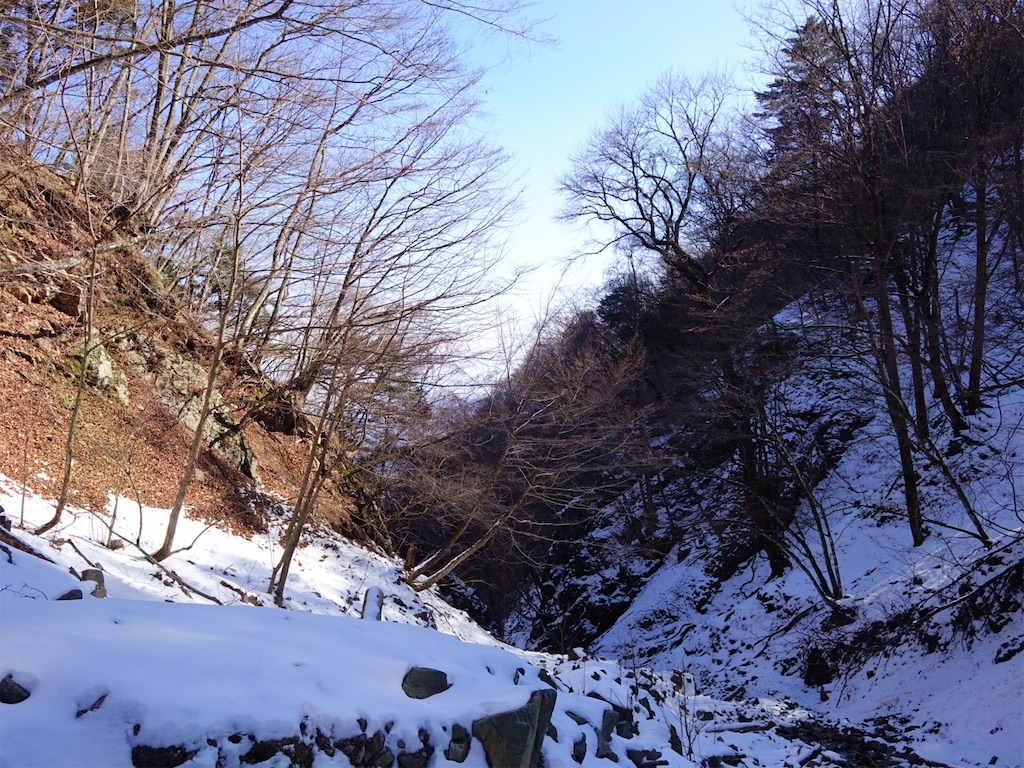 f:id:Kakuremino:20260224234803j:image