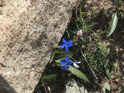 f:id:Kamakura-An:20190514214205j:plain f:id:Kamakura-An:20190514214205j:plain