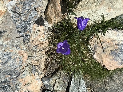 f:id:Kamakura-An:20190514214453j:plain f:id:Kamakura-An:20190514214453j:plain