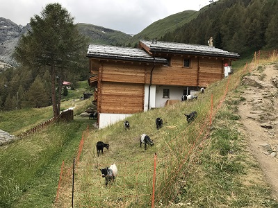 f:id:Kamakura-An:20190514215636j:plain f:id:Kamakura-An:20190514215636j:plain
