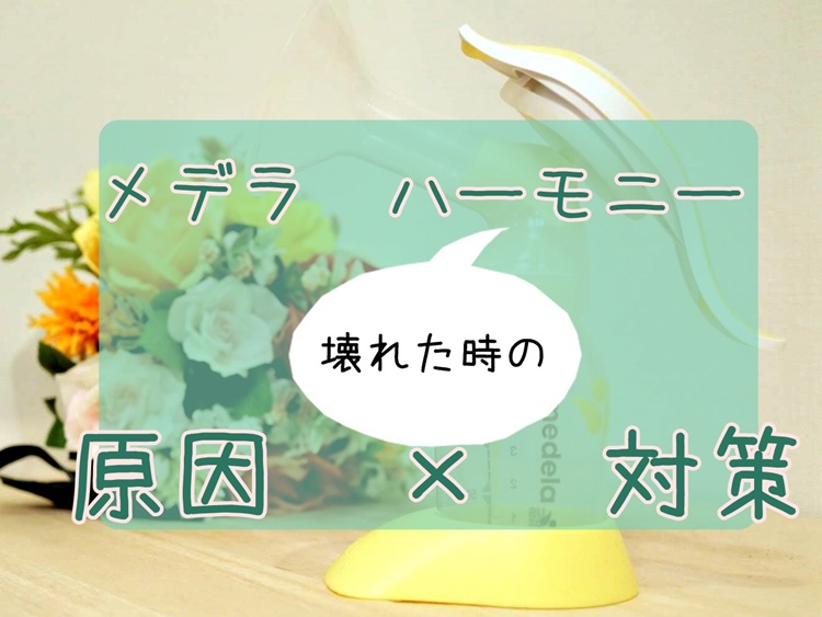 f:id:Kameno-Yu:20181014032636j:plain