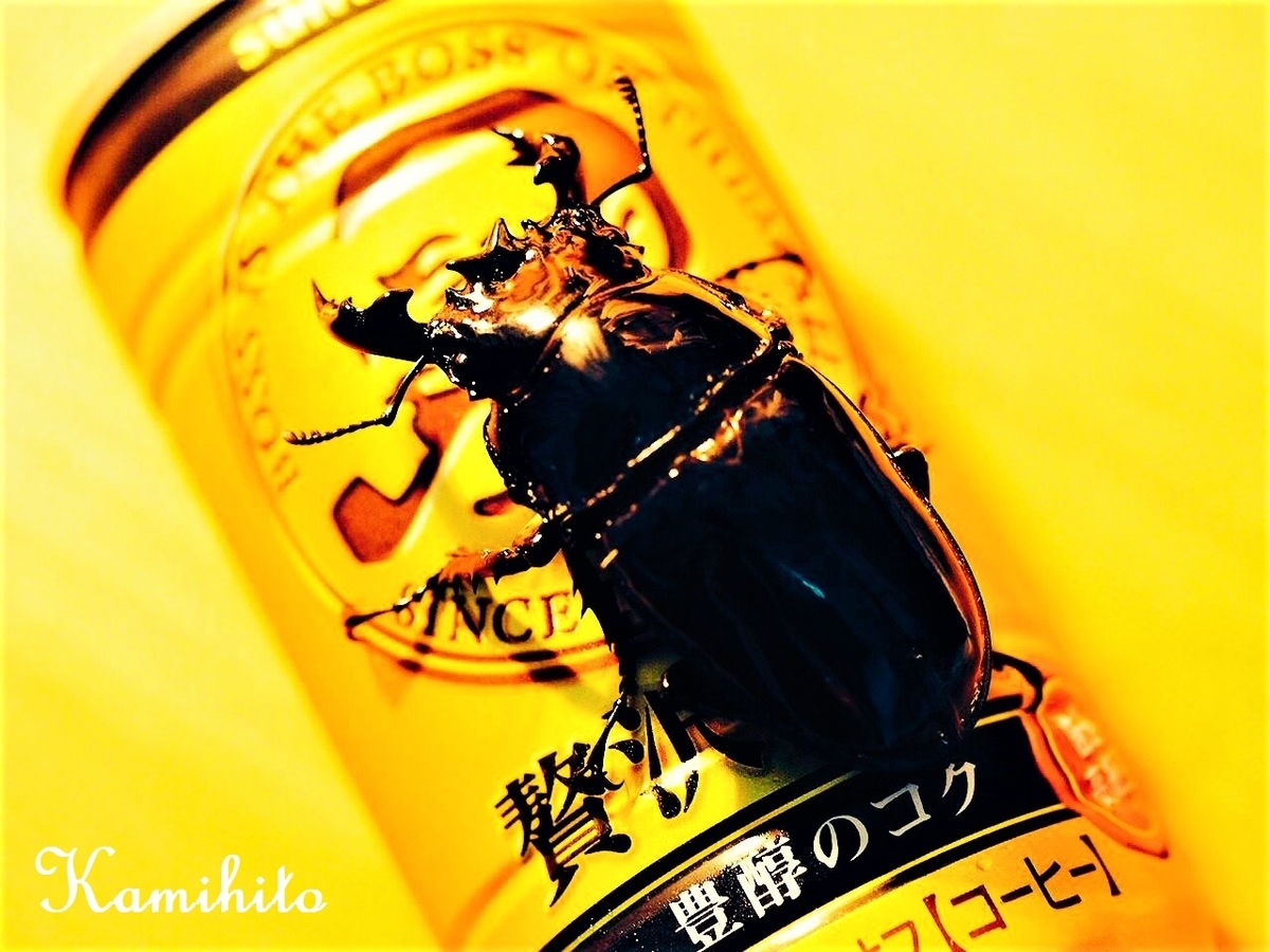 f:id:Kamihito:20190711204008j:plain