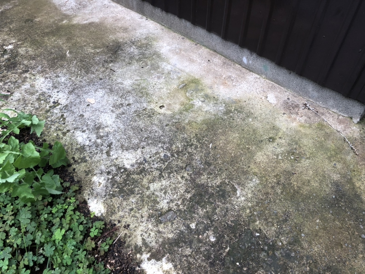 f:id:Kamihito:20190711204350j:plain