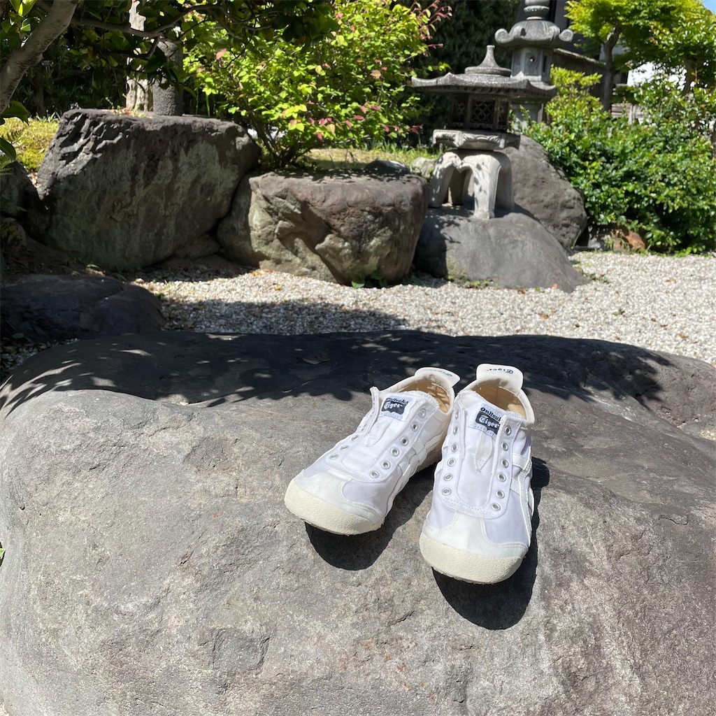 f:id:Kamimachi:20210510103714j:image f:id:Kamimachi:20210510103714j:image