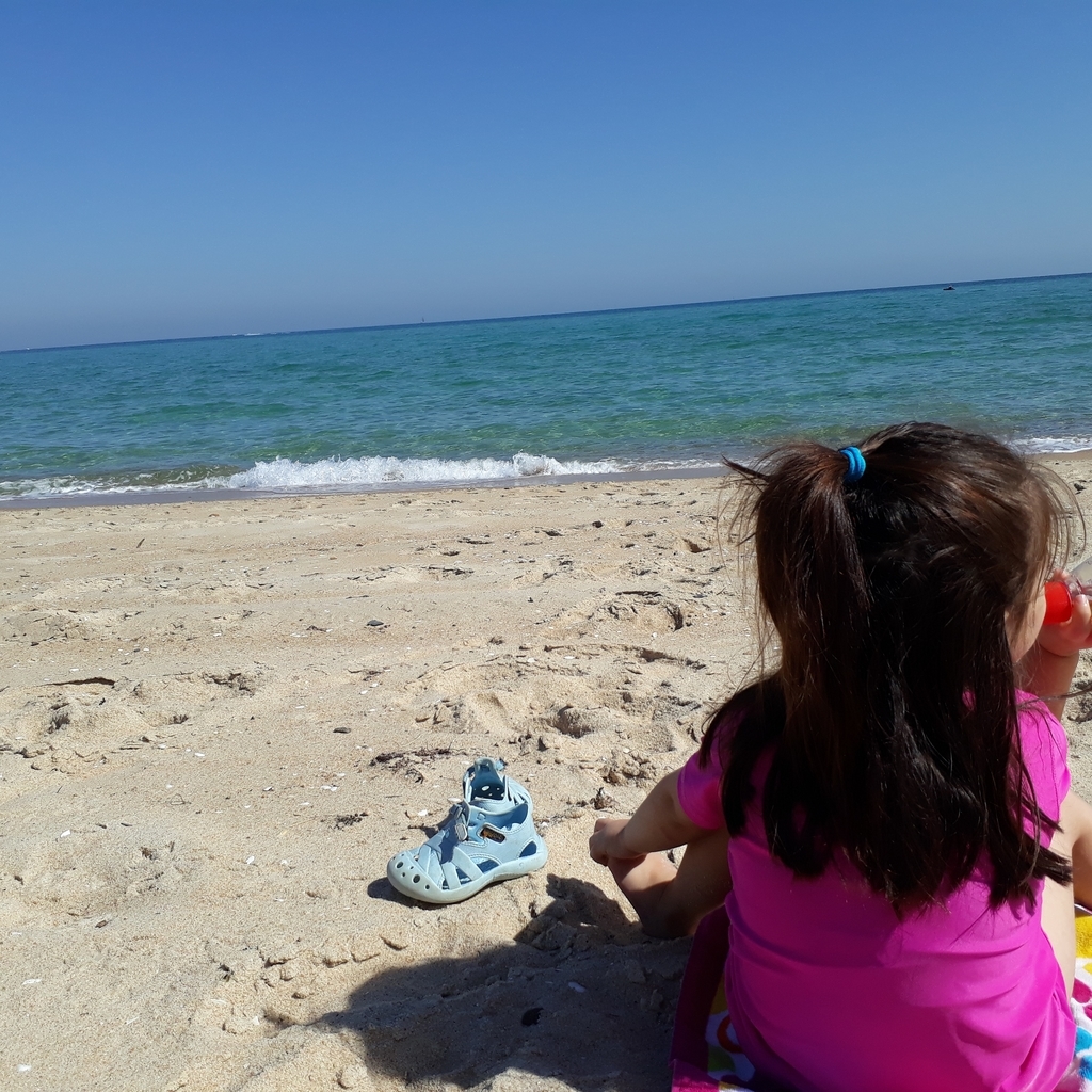 f:id:Kaminari3ban:20190311073656j:plain f:id:Kaminari3ban:20190311073656j:plain