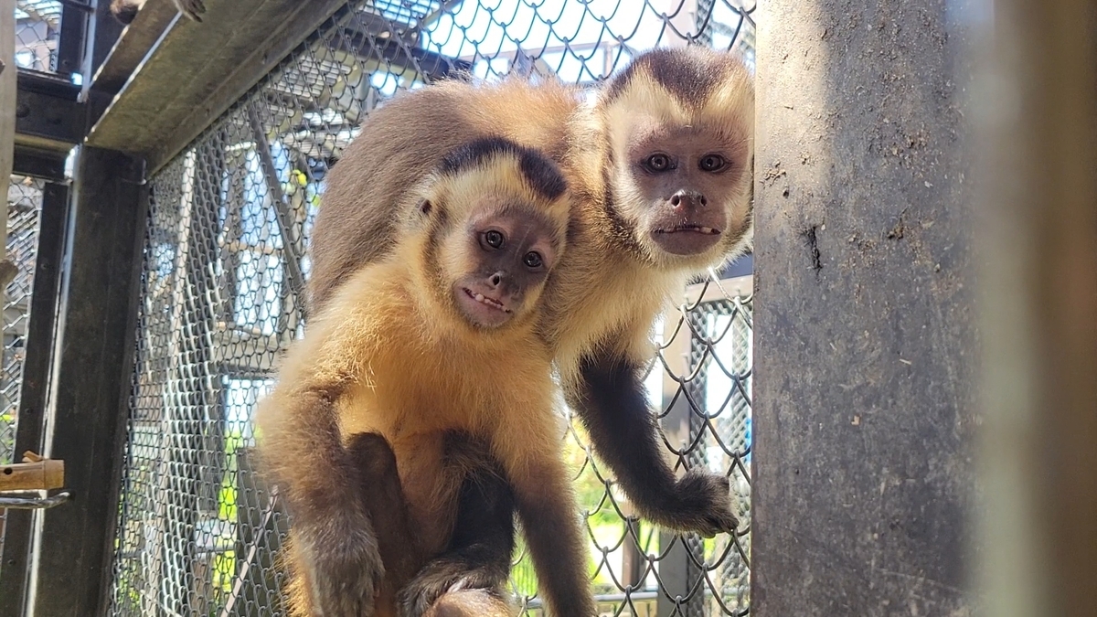 成長！ - 日立市かみね動物園公式ブログ