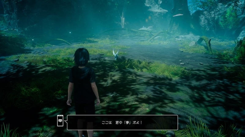 イメージ 6