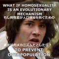 20111203202751
