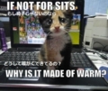 20111206135657