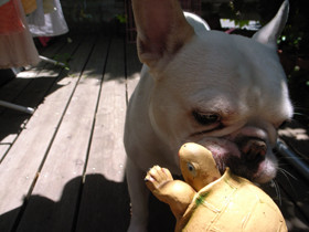 f:id:Kanaeh:20080506113810j:image f:id:Kanaeh:20080506113810j:image