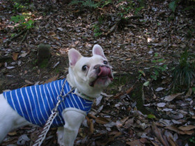 f:id:Kanaeh:20080516130553j:image f:id:Kanaeh:20080516130553j:image