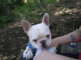 f:id:Kanaeh:20080516132726j:image f:id:Kanaeh:20080516132726j:image