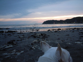 f:id:Kanaeh:20080520190109j:image f:id:Kanaeh:20080520190109j:image