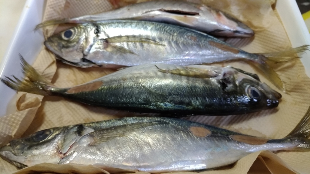 f:id:Kanazawadoctor:20180616100142j:plain
