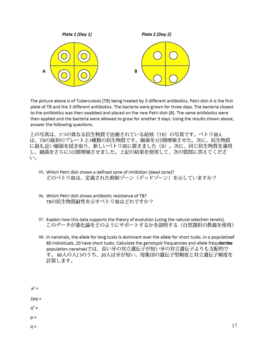 f:id:KanoYamada:20190903194604j:plain