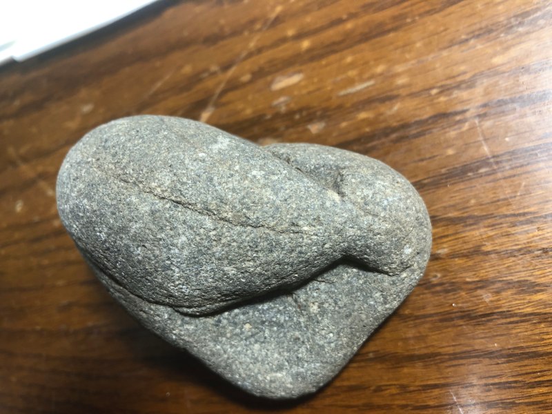 3541BIG アクリルストーン海の生き物 3541BIG アクリルストーン海の生き物 Amazon.co.jp: 魚 海の動物