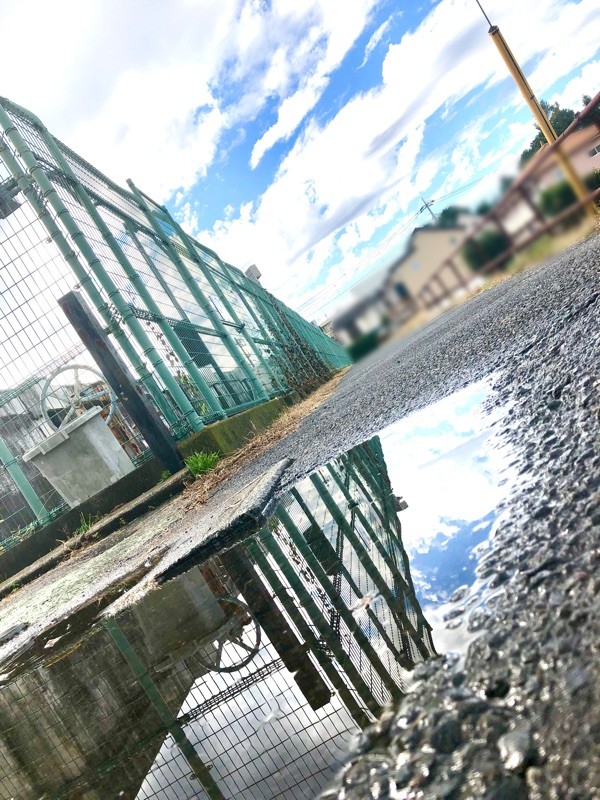 水たまりに映る空を撮った写真