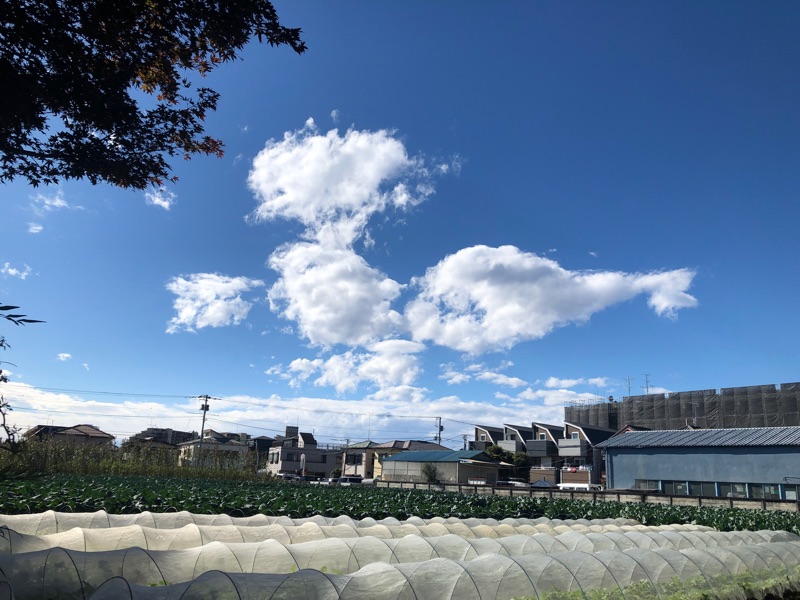 アングルは真っ直ぐ、ポジションは目の高さで撮った写真