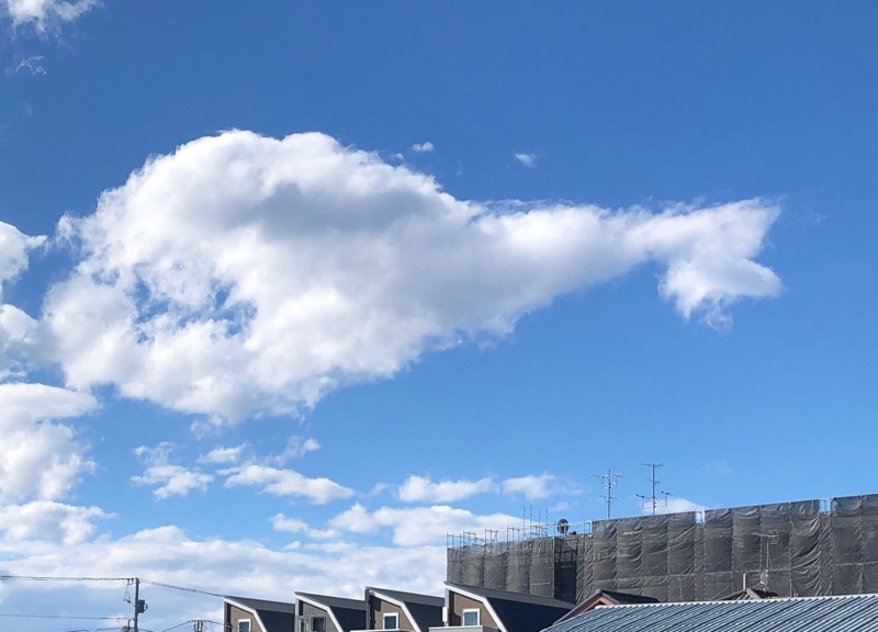 トリミングして建物を入れた写真