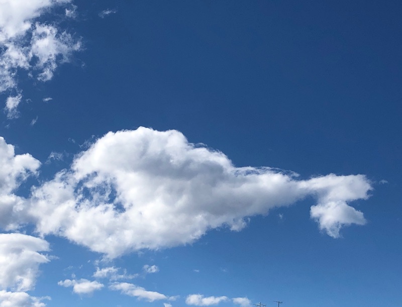 クジラの雲だけをトリミングした写真