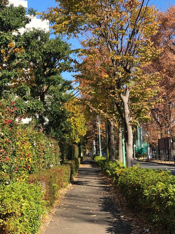 ポジション（位置）は目の高さ、アングル（角度）は真っ直ぐで撮った写真