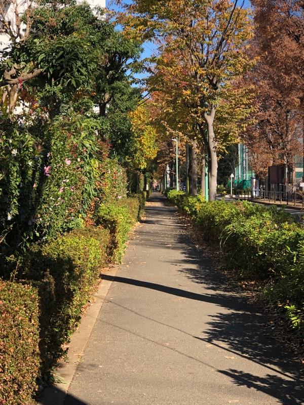 アングルを下向きにして撮った写真