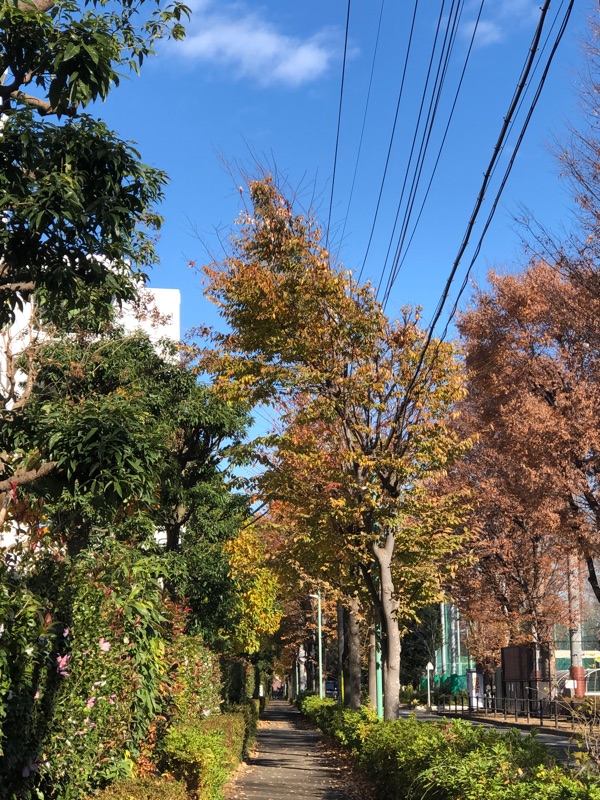 アングルを上向きにして撮った写真