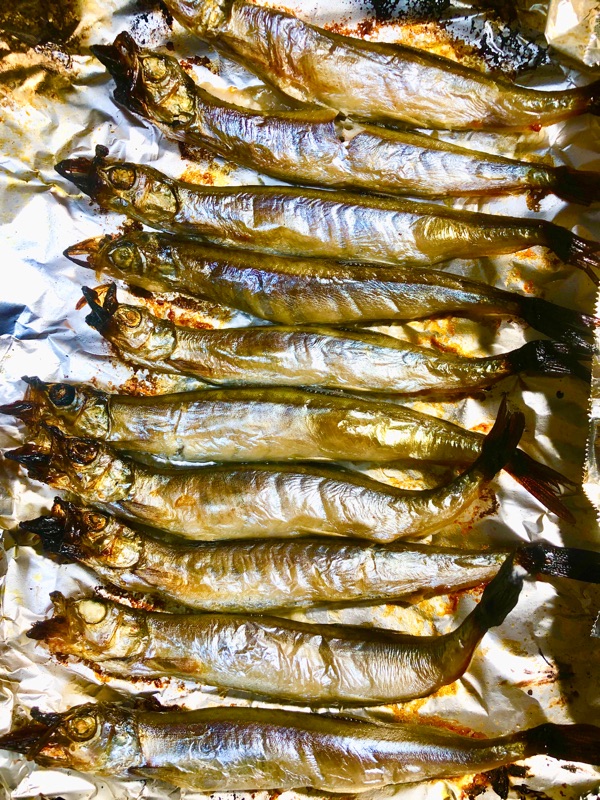 シシャモ焼きを撮った写真