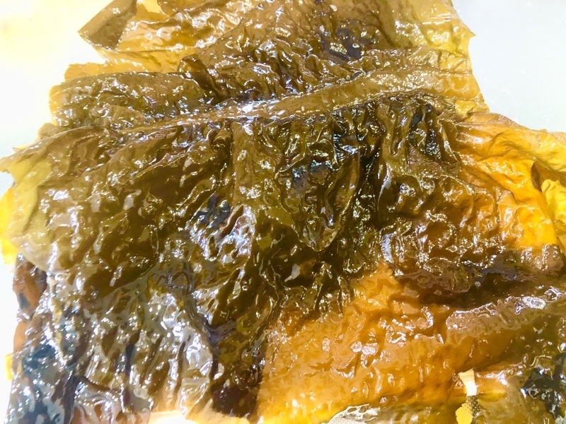 生ワカメを広げて撮った写真