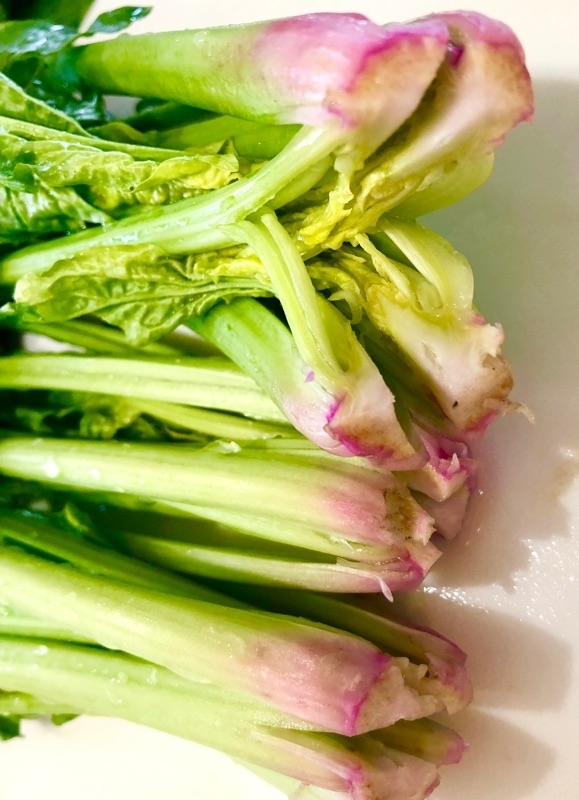 ほうれん草の根の部分を切って撮った写真