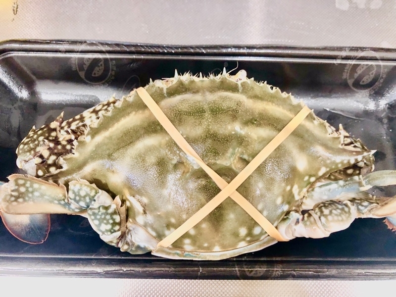 生ワタリガニを撮った写真