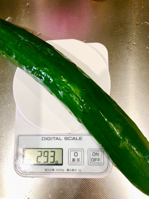 キュウリが２３９ｇだったところを撮った写真