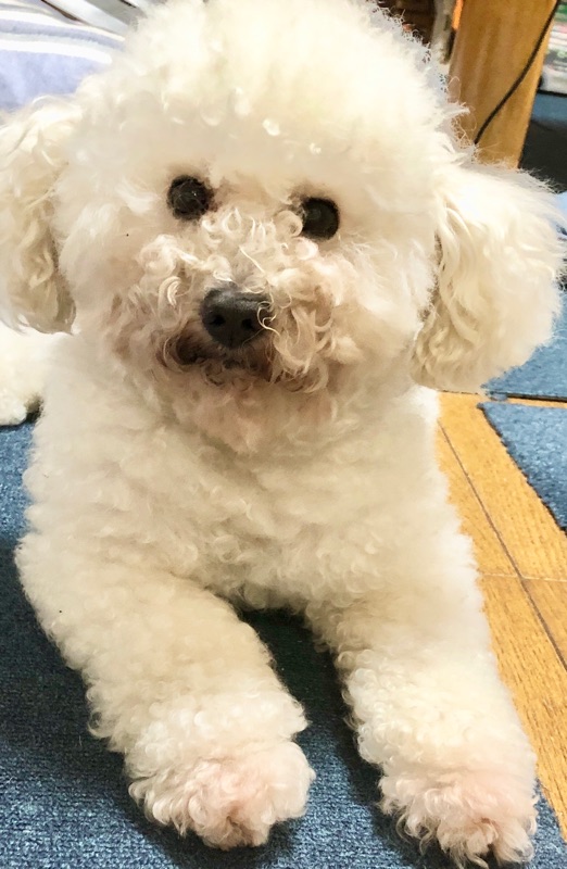 トリミング前に撮った写真 