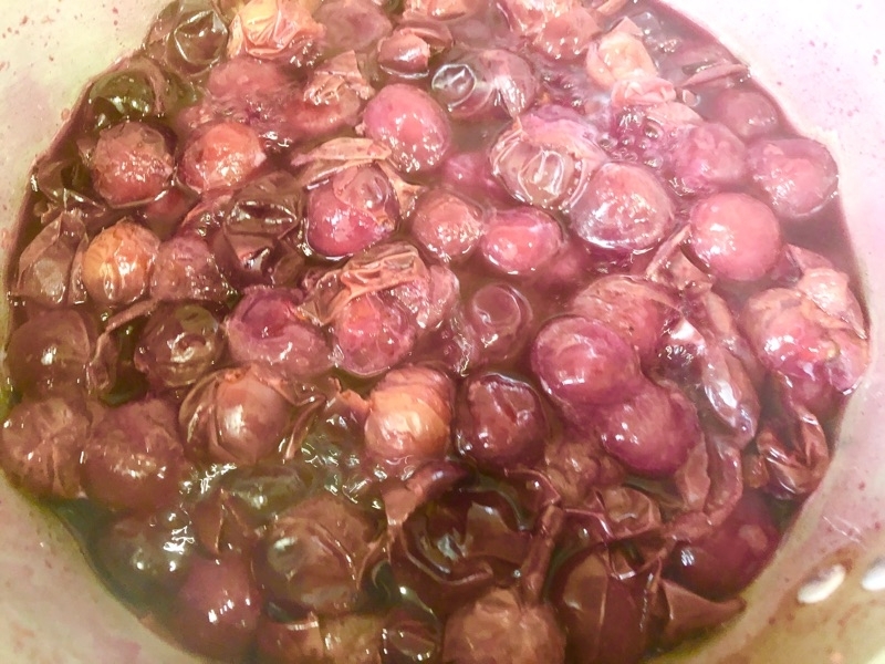 20分煮たところを撮った写真