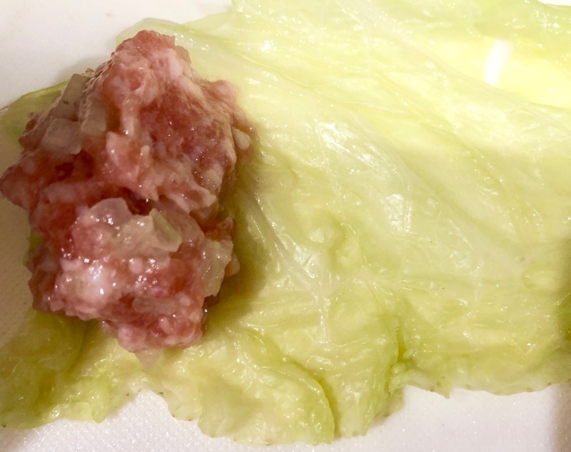 白菜にタネをのせて撮った写真