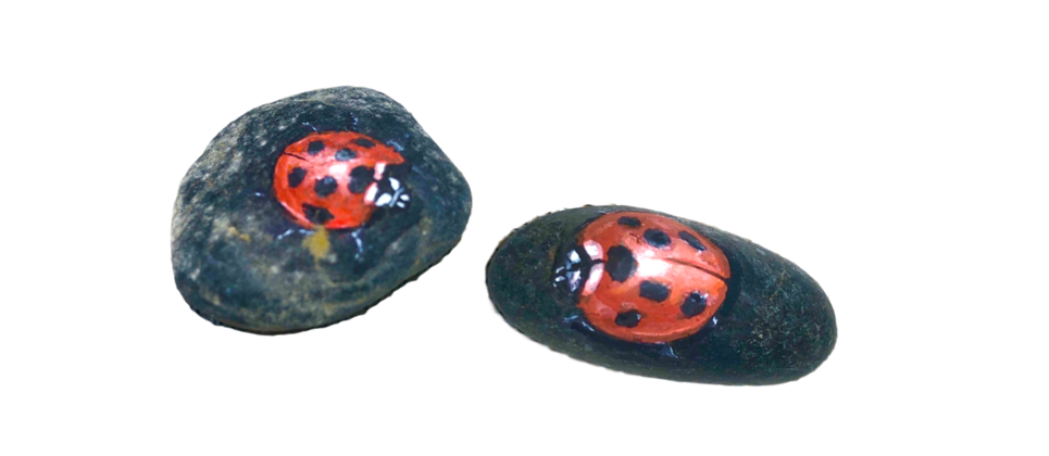 テントウムシくんたちをと