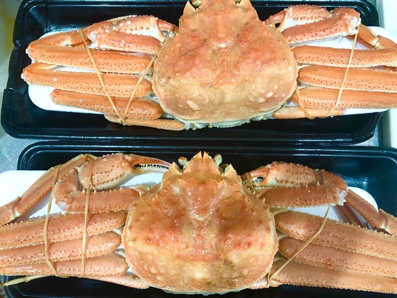 カニを撮った写真