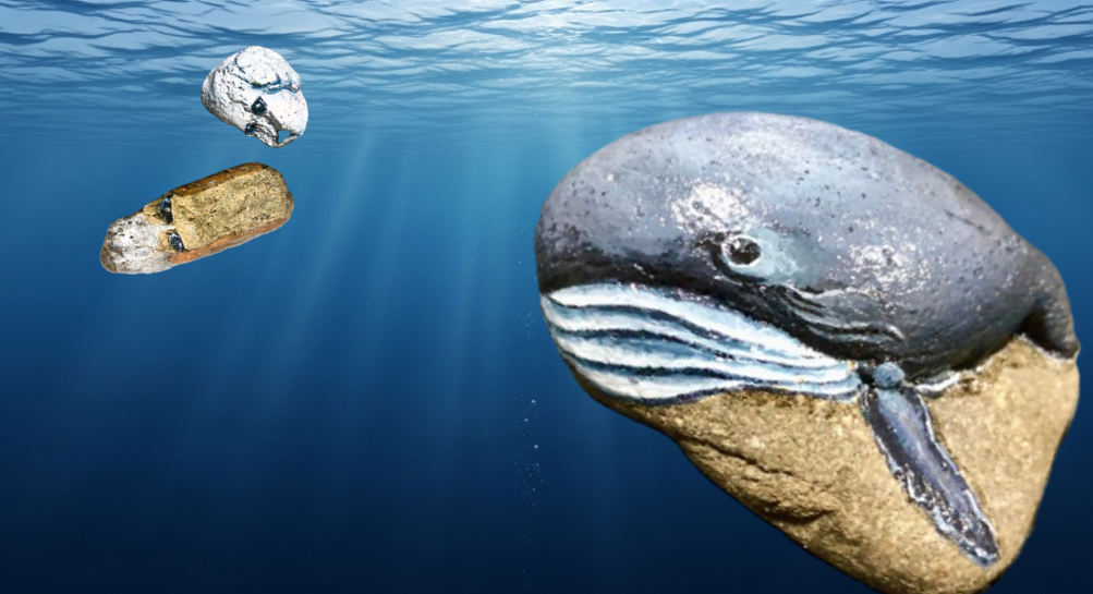 クジラくんが現れたイラスト