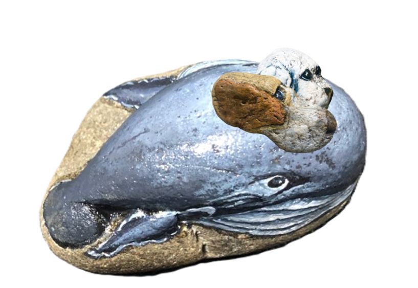 クジラくんに乗るカンピとビーグルのイラスト