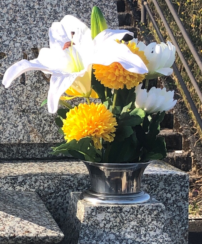 花を撮った写真