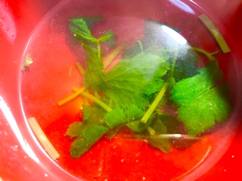 三つ葉のお吸い物を撮った写真