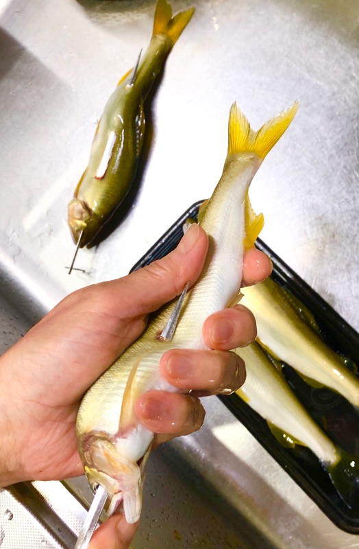 さかさまに打つところを撮った写真