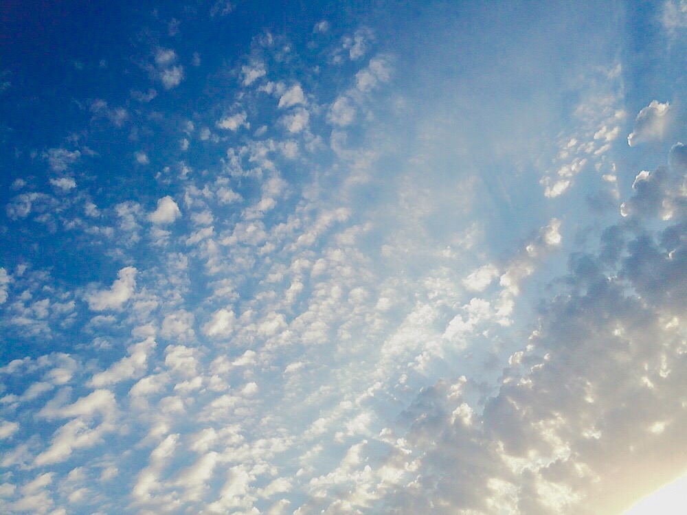 f:id:KanonCanon:20160827223452j:plain f:id:KanonCanon:20160827223452j:plain
