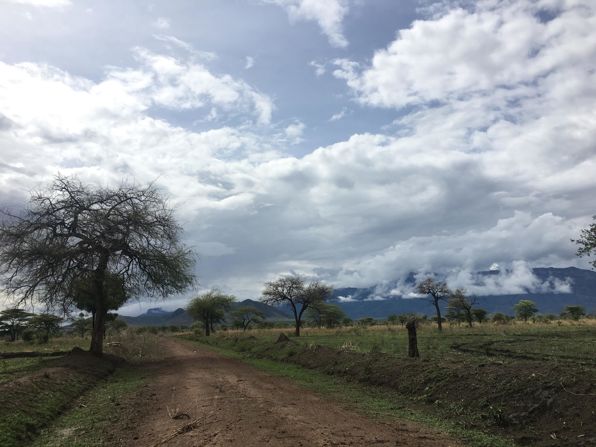 f:id:KantaHara:20190506205632j:plain f:id:KantaHara:20190506205632j:plain