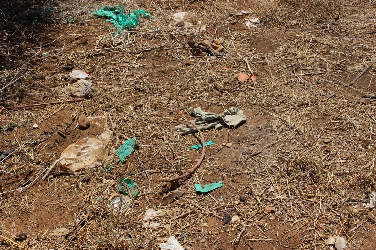 f:id:KantaHara:20190506212206j:plain f:id:KantaHara:20190506212206j:plain