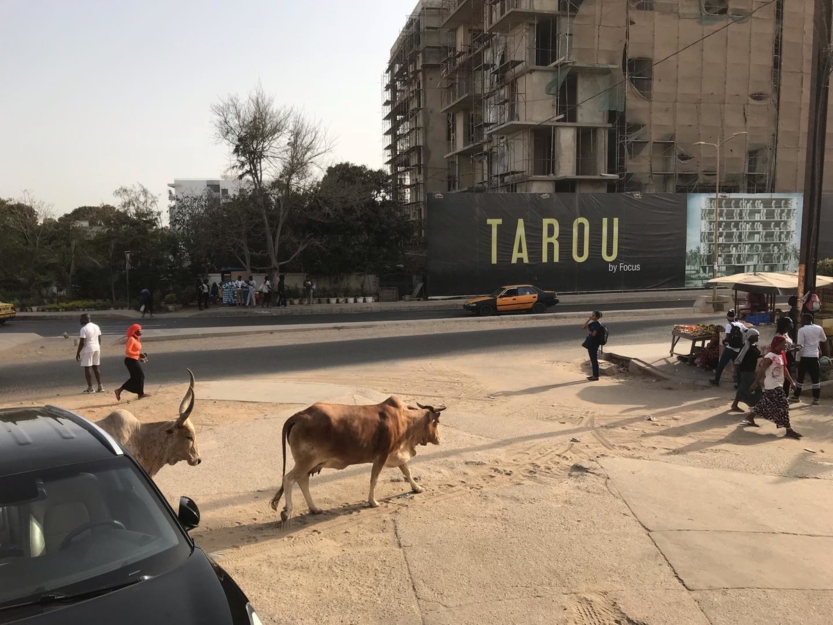 セネガル 治安 セネガル 治安