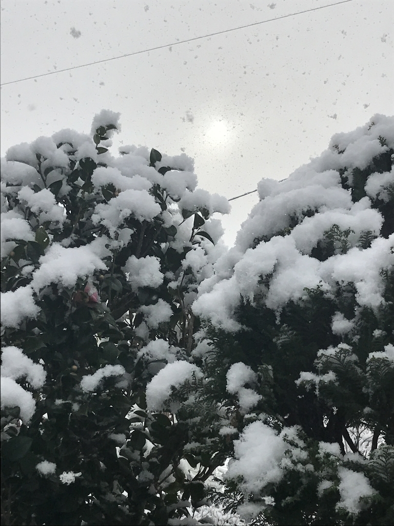 f:id:Kaoriok:20181229210704j:plain f:id:Kaoriok:20181229210704j:plain