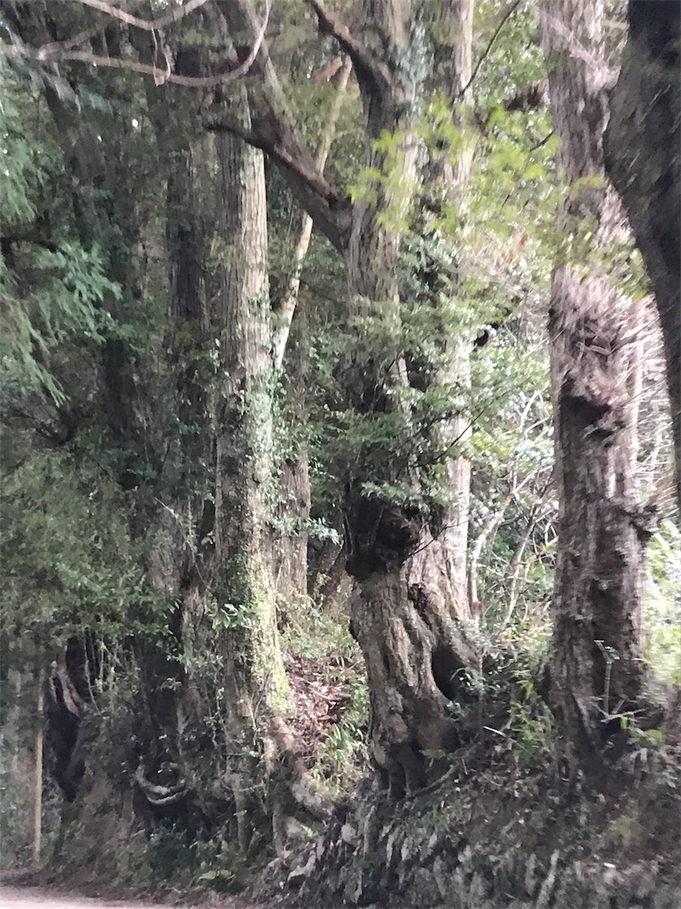 f:id:Kaoriok:20190115200659j:plain f:id:Kaoriok:20190115200659j:plain