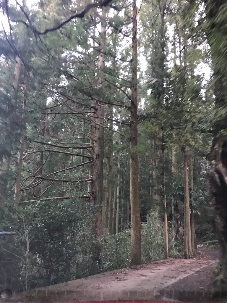 f:id:Kaoriok:20190115200728j:plain f:id:Kaoriok:20190115200728j:plain